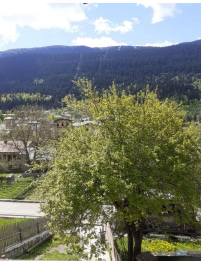 Hotel White Mountains • Თეთრი Მთები Mestia Eksteriør bilde